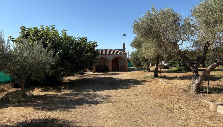 Country house for sale in Avenida Andalucía, 1, La Algaba, Sevilla - image 1 Photo 1 of Country house for sale in Avenida Andalucía, 1, La Algaba, Sevilla