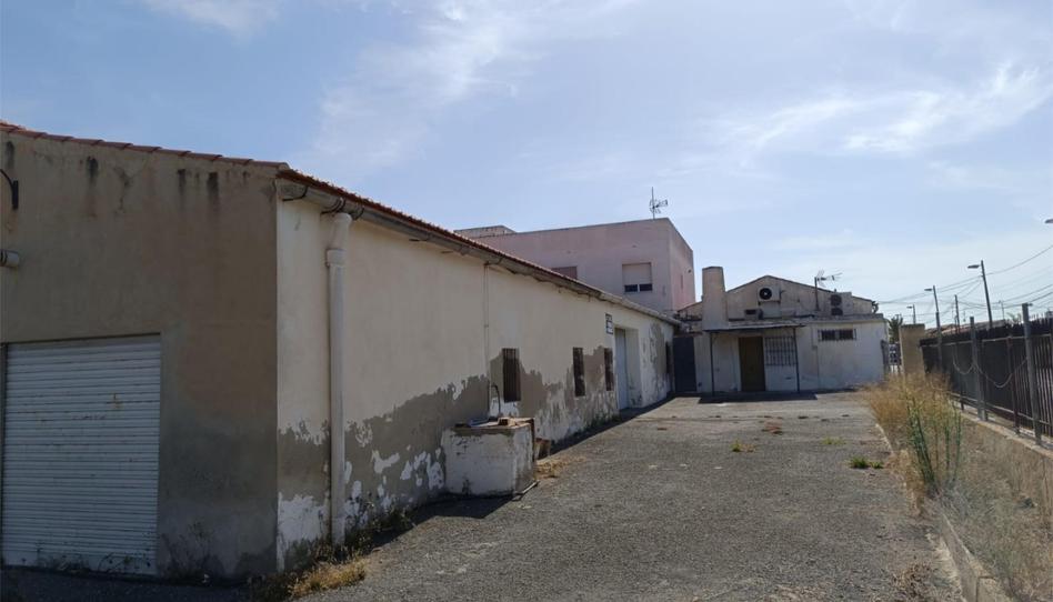 Terreno en venta en Partida Valverde Bajo, 1205, Valverde, Elche / Elx - imagen 1 Foto 1 de Terreno en venta en Partida Valverde Bajo, 1205, Valverde, Elche / Elx