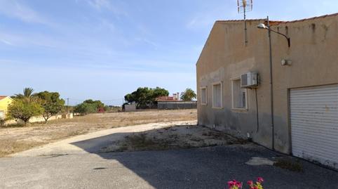 Terreno en venta en Partida Valverde Bajo, 1205, Valverde, Elche / Elx - imagen 2 Foto 2 de Terreno en venta en Partida Valverde Bajo, 1205, Valverde, Elche / Elx