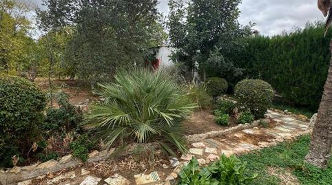 Foto 3 de Finca rústica en venda a Calle Cuba, 49, Brenes, Sevilla