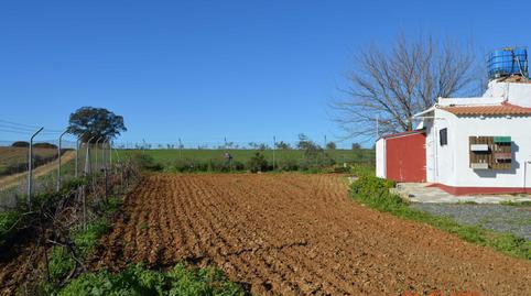 Photo 4 of Country house for sale in Calle Carril de Los Moriscos, 79, Rociana del Condado, Huelva