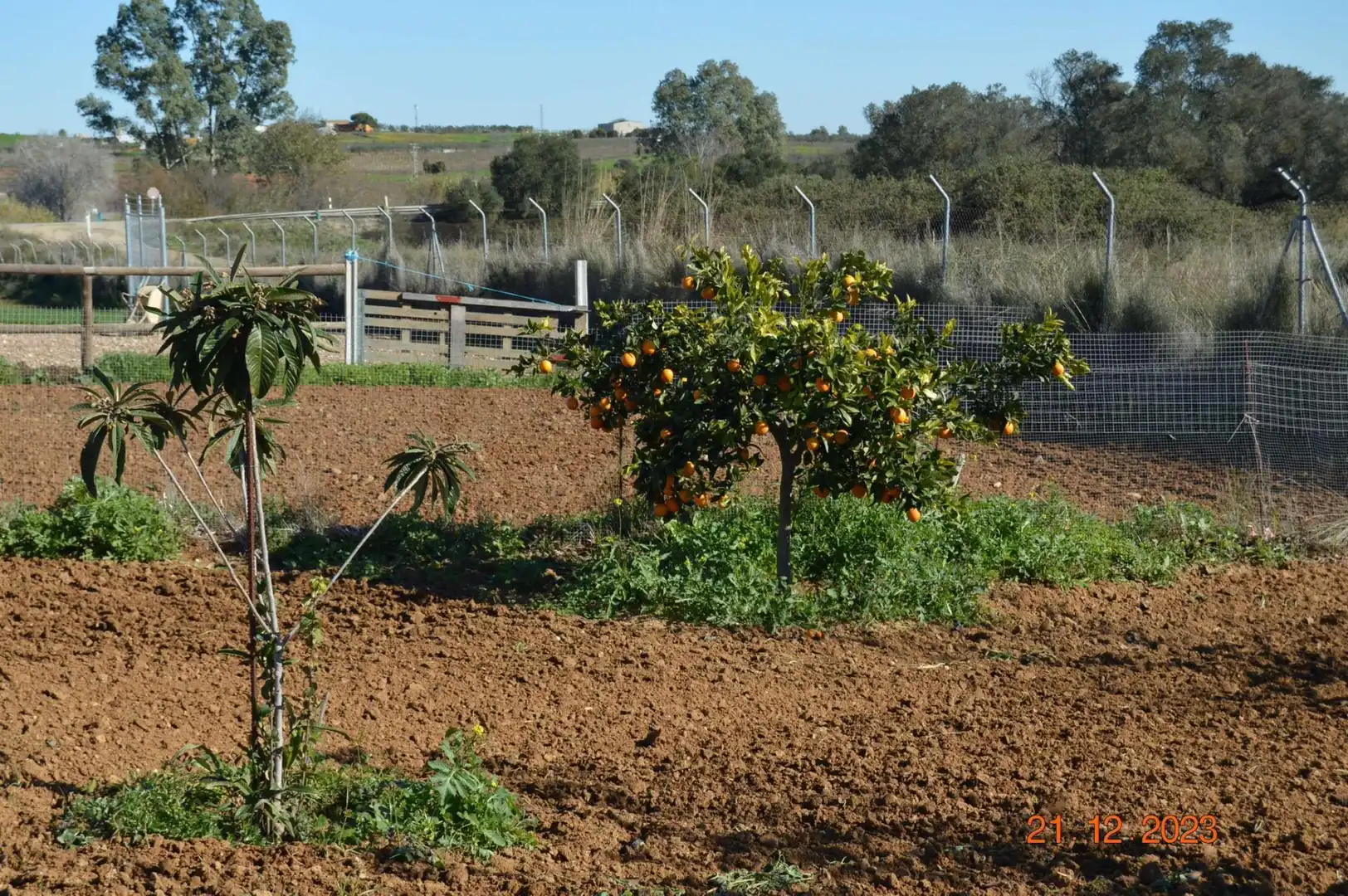Finca rústica en venta en Calle Carril de los Moriscos, 79, Rociana del Condado Jardín de Finca rústica en venta en Rociana del Condado con Jardín privado, Parquet y Terraza