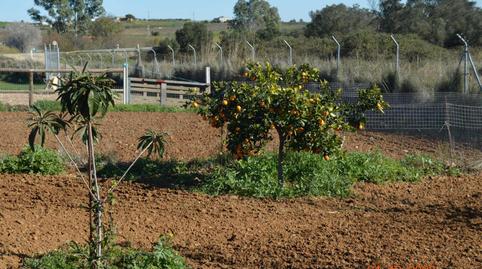 Photo 3 of Country house for sale in Calle Carril de Los Moriscos, 79, Rociana del Condado, Huelva