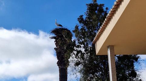 Photo 3 of House or chalet to share in Avenida de Extremadura, 21, Alcollarín, Cáceres