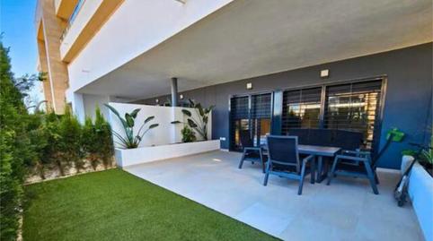 Pis de lloguer a Playa Flamenca, Alicante - imatge 5 Foto 5 de Pis de lloguer a Playa Flamenca, Alicante