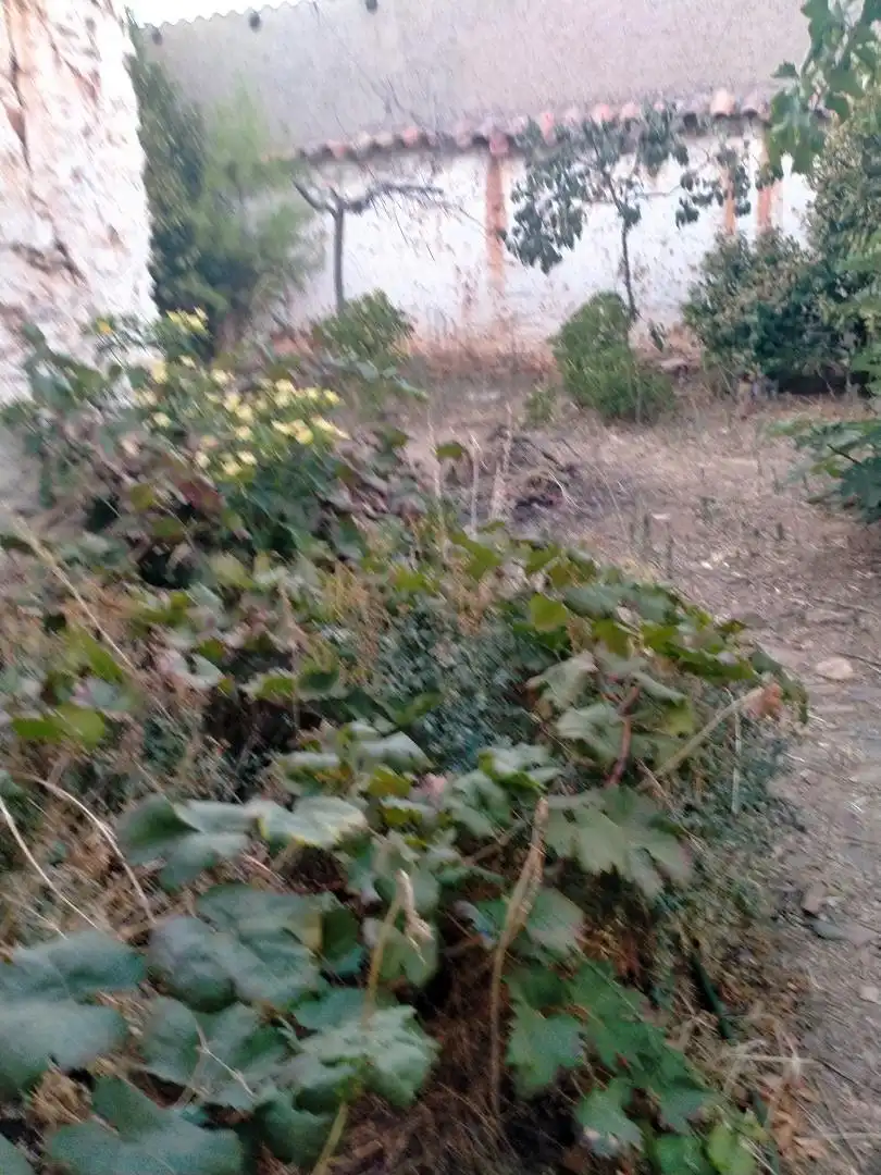 Planta baja en venta en Calle Gonzalo de Córdoba, 96, Torrenueva Planta baja en venta en Torrenueva con Jardín privado