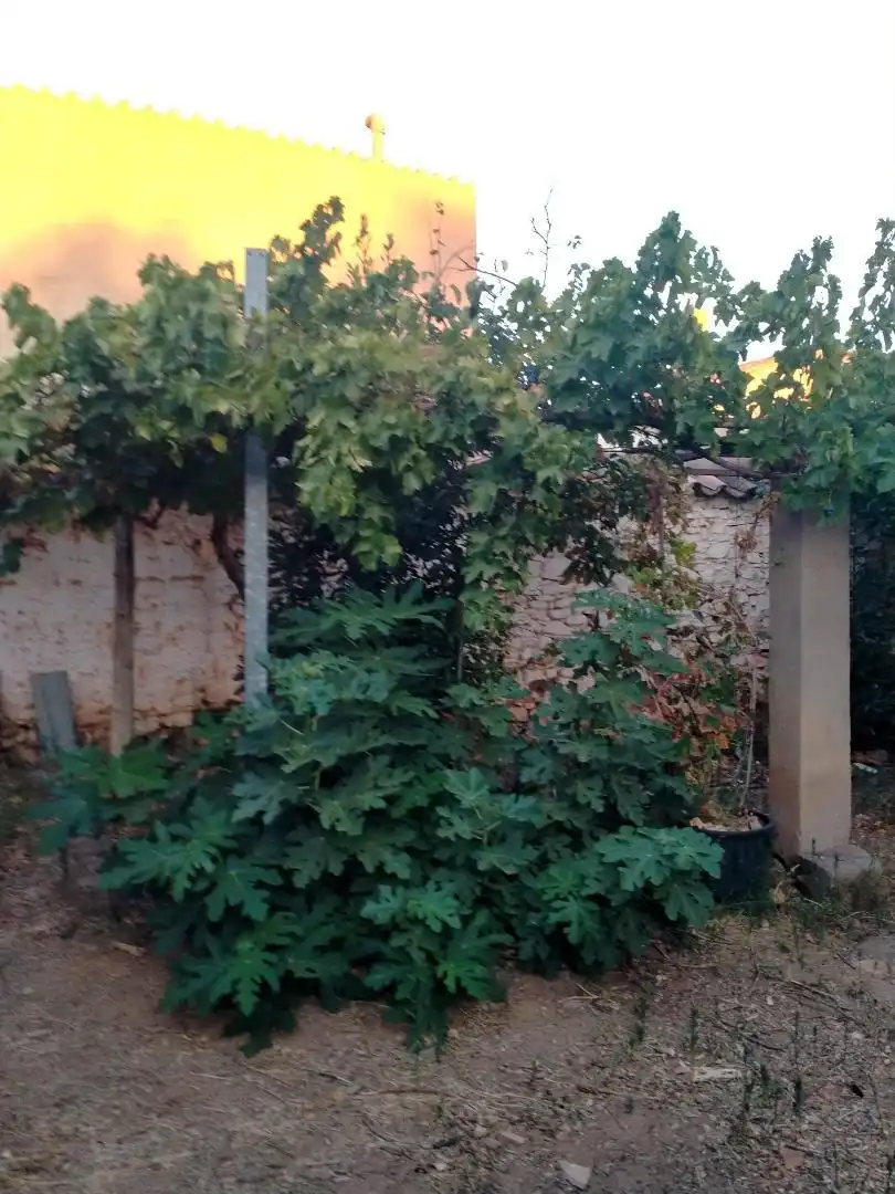 Planta baja en venta en Calle Gonzalo de Córdoba, 96, Torrenueva Planta baja en venta en Torrenueva con Jardín privado
