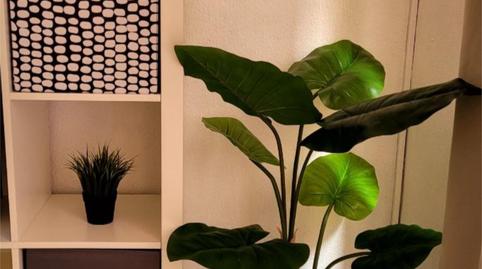 Foto 5 de Pis de lloguer a Calle Montijo, 17, San Lorenzo, Murcia