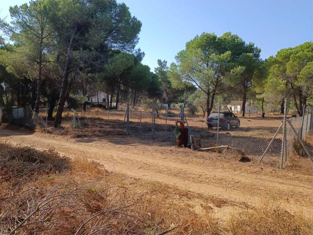 Terreno en Venta en Calle Camino de La Ermita, 21 en Villablanca