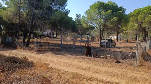 Finca rústica en venda a Calle Camino de la Ermita, 21, Villablanca, Huelva - imatge 3 Foto 3 de Finca rústica en venda a Calle Camino de la Ermita, 21, Villablanca, Huelva