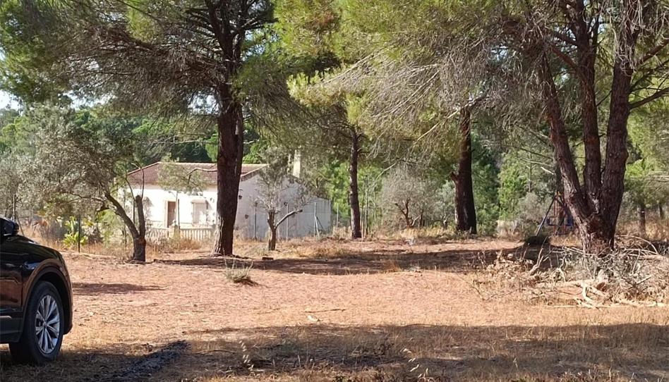 Finca rústica en venda a Calle Camino de la Ermita, 21, Villablanca, Huelva - imatge 1 Foto 1 de Finca rústica en venda a Calle Camino de la Ermita, 21, Villablanca, Huelva