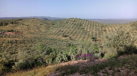 Country house for sale in Calle Calvario, 2a, Santa Eufemia, Córdoba - image 2 Photo 2 of Country house for sale in Calle Calvario, 2a, Santa Eufemia, Córdoba