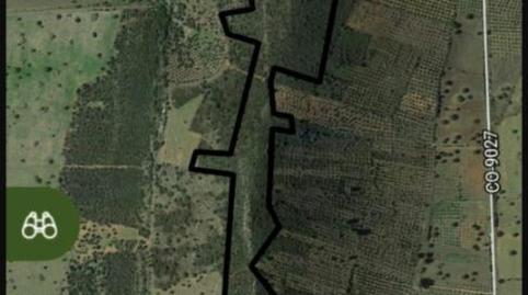 Finca rústica de lloguer a Calle Calvario, 2a, Santa Eufemia, Córdoba - imatge 4 Foto 4 de Finca rústica de lloguer a Calle Calvario, 2a, Santa Eufemia, Córdoba