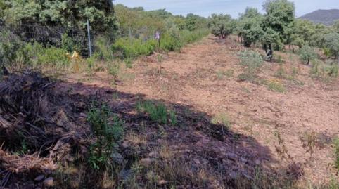 Photo 3 of Country house for sale in Calle Calvario, 2a, Santa Eufemia, Córdoba