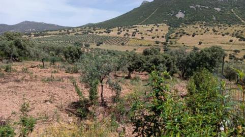 Photo 4 of Country house for sale in Calle Calvario, 2a, Santa Eufemia, Córdoba