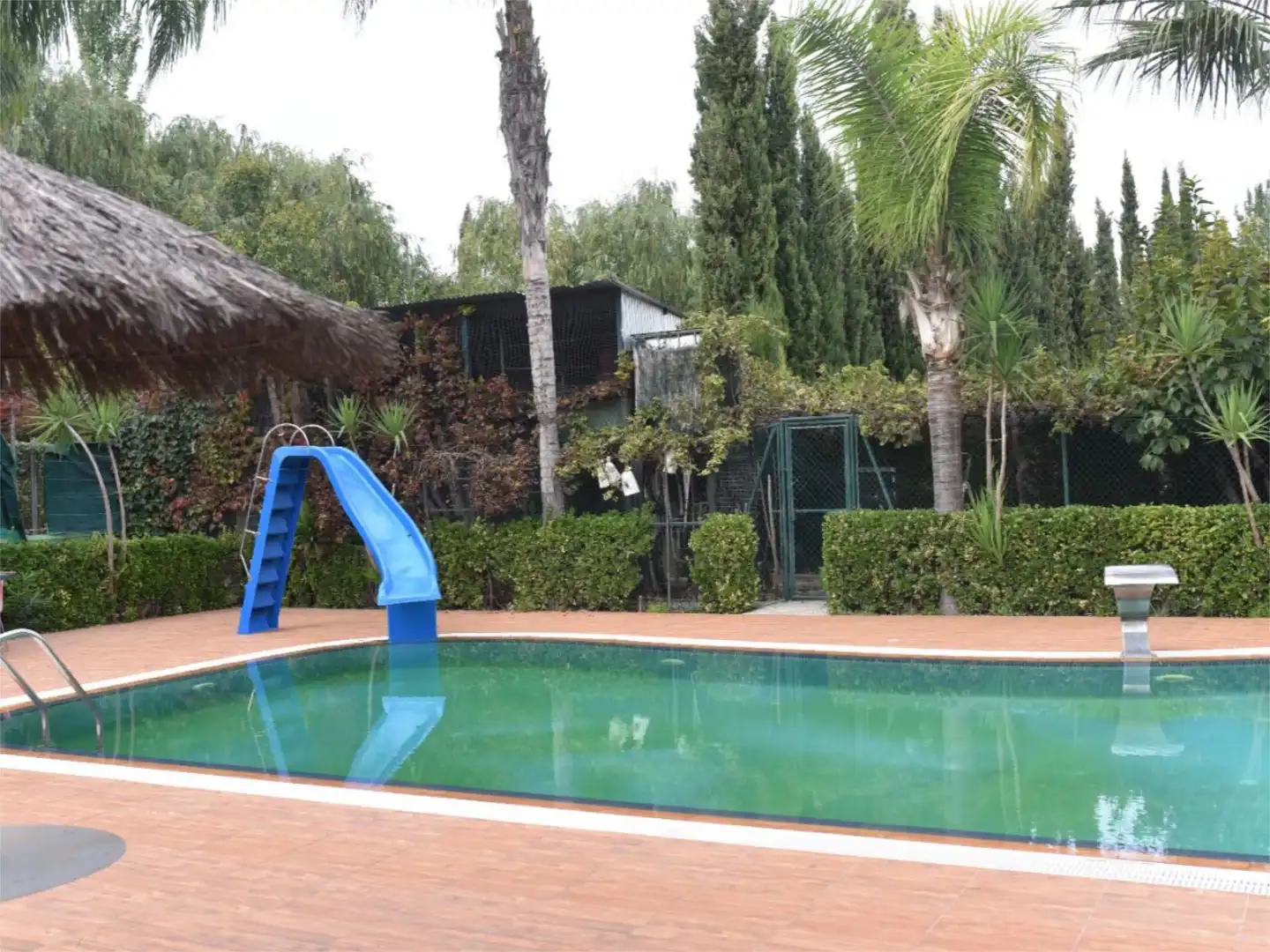 Piscina de Piso en venta en Cehegín con Calefacción, Jardín privado y Terraza