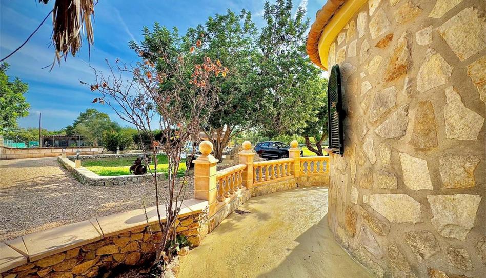 Finca rústica en venta en Lugar Poligono 1, 29, Búger, Illes Balears - imagen 1 Foto 1 de Finca rústica en venta en Lugar Poligono 1, 29, Búger, Illes Balears