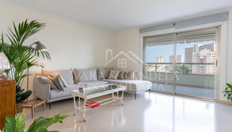 Flat for sale in Avinguda Goleta, 21, Cabo de las Huertas, Alicante - image 1 Photo 1 of Flat for sale in Avinguda Goleta, 21, Cabo de las Huertas, Alicante