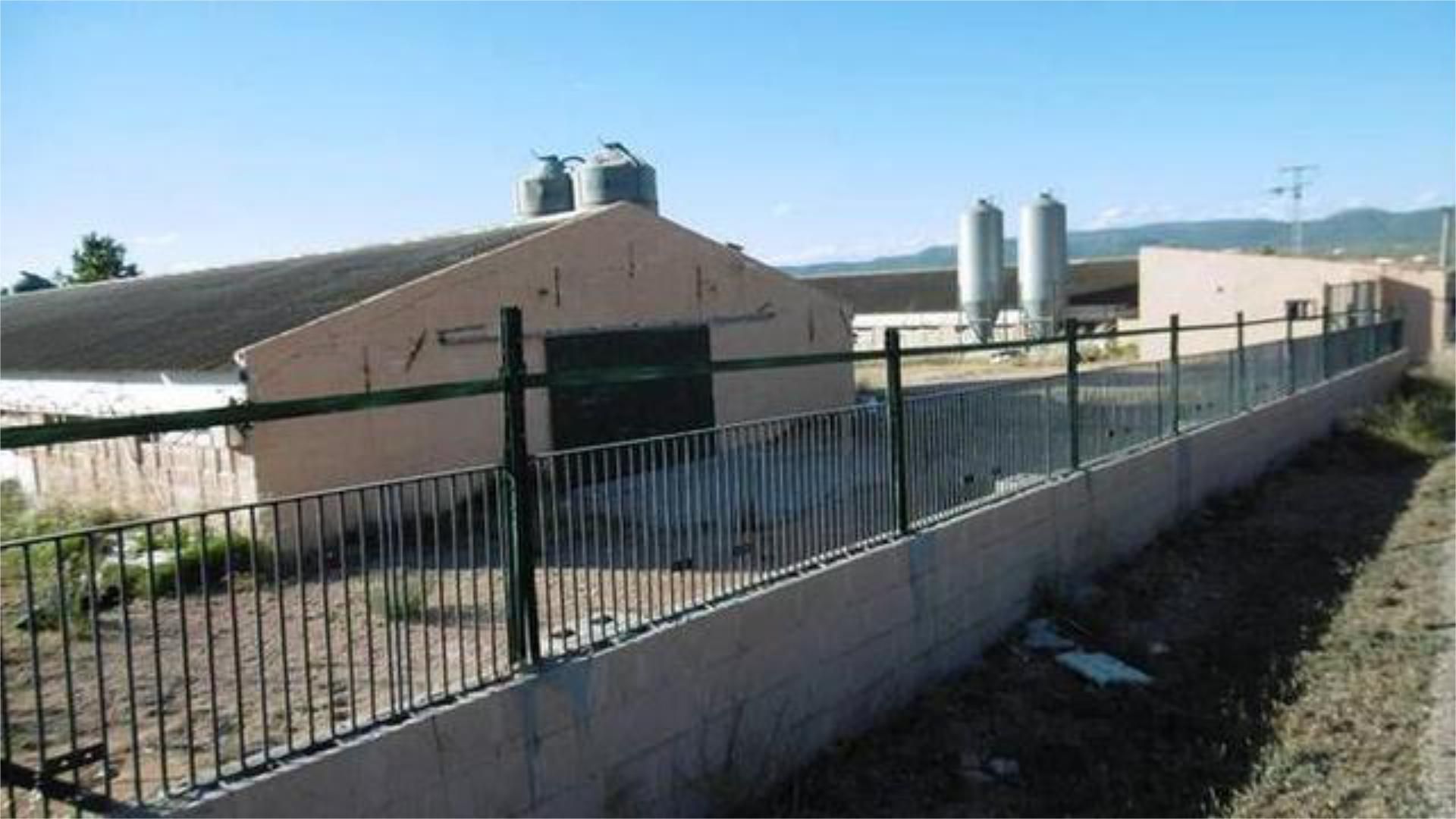 Industrial buildings to rent in Utiel Exterior view of Industrial buildings to rent in Utiel