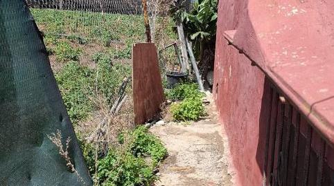 Planta baja for sale in Carretera Cabo Verde, 15, Moya (Las Palmas), Las Palmas - image 2 Photo 2 of Planta baja for sale in Carretera Cabo Verde, 15, Moya (Las Palmas), Las Palmas