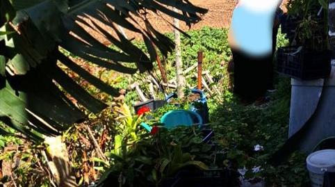 Planta baja for sale in Carretera Cabo Verde, 15, Moya (Las Palmas), Las Palmas - image 3 Photo 3 of Planta baja for sale in Carretera Cabo Verde, 15, Moya (Las Palmas), Las Palmas