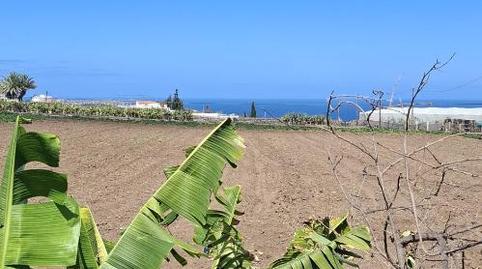 Planta baja for sale in Carretera Cabo Verde, 15, Moya (Las Palmas), Las Palmas - image 4 Photo 4 of Planta baja for sale in Carretera Cabo Verde, 15, Moya (Las Palmas), Las Palmas