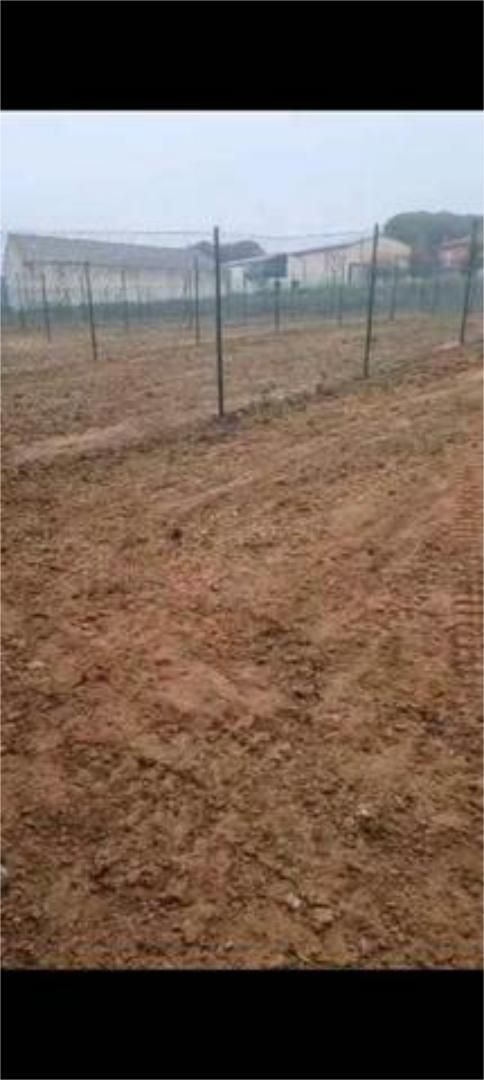 Casa adosada en venda en Olmedillo de Roa amb Calefacció, Jardí privat i Terrassa