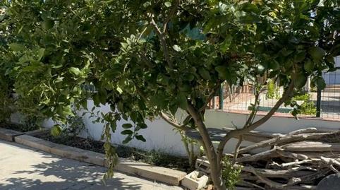 Casa o xalet en venda a Carrer Dels Xops, 13a, Grau de Gandia - Venecia - Marenys de Rafalcaid, Valencia - imatge 5 Foto 5 de Casa o xalet en venda a Carrer Dels Xops, 13a, Grau de Gandia - Venecia - Marenys de Rafalcaid, Valencia