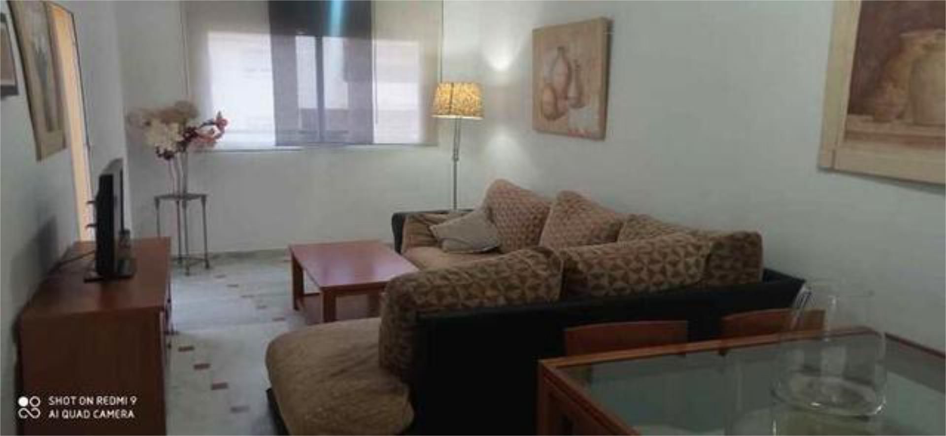 Living room of Flat to rent in Málaga Capital  with Terrace and Furnished