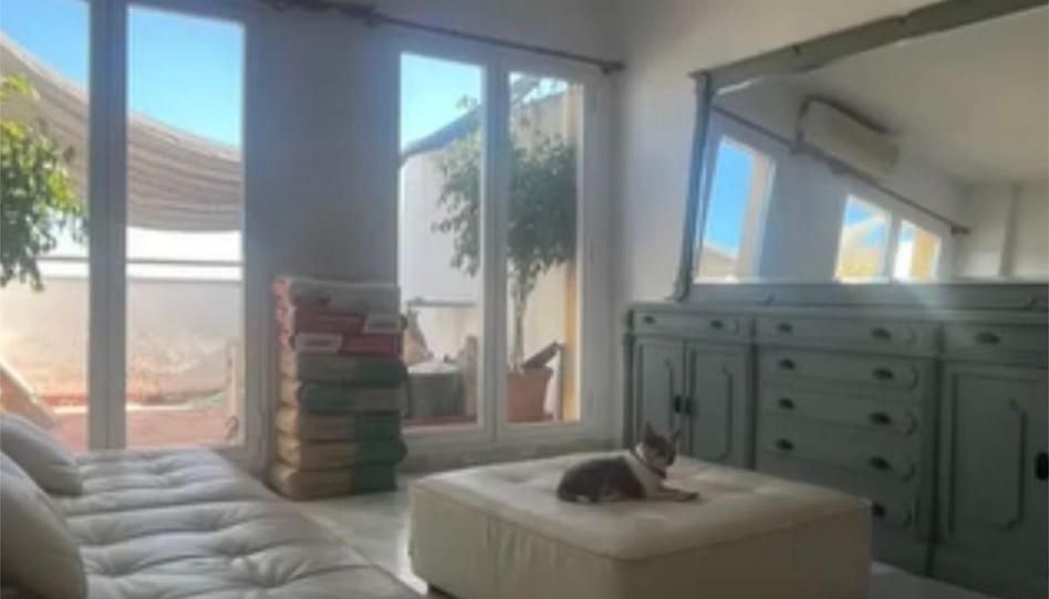 Flat to rent in Calle Sidney, 5, Altos de Estepona, Málaga - image 1 Photo 1 of Flat to rent in Calle Sidney, 5, Altos de Estepona, Málaga