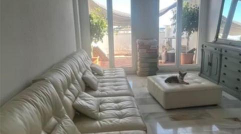 Flat to rent in Calle Sidney, 5, Altos de Estepona, Málaga - image 3 Photo 3 of Flat to rent in Calle Sidney, 5, Altos de Estepona, Málaga