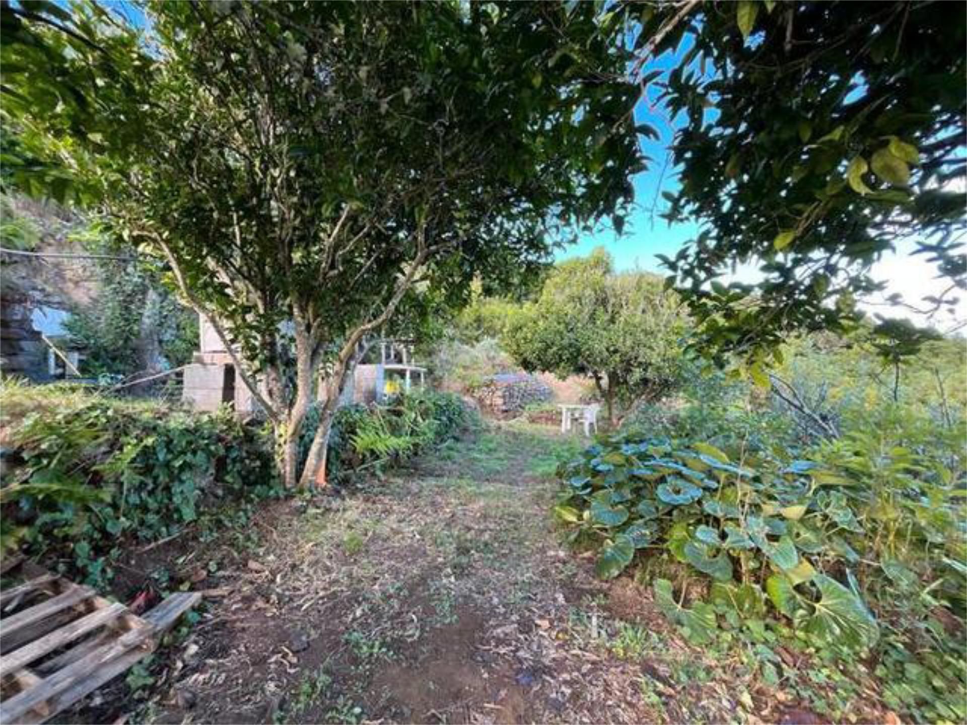 House or chalet to rent in Garafía