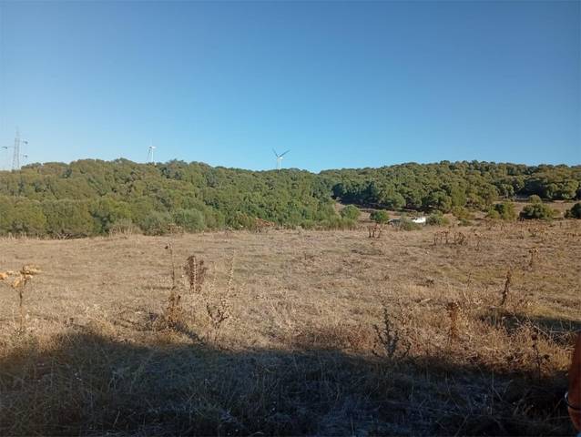 Terreno en Venta en Lugar los Parralejos, 5 en Vejer