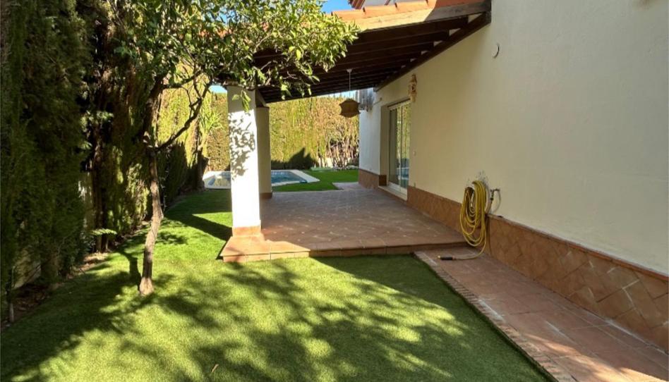 Casa o xalet de lloguer a Avenida del Acebuche, 24, Gelves, Sevilla - imatge 1 Foto 1 de Casa o xalet de lloguer a Avenida del Acebuche, 24, Gelves, Sevilla