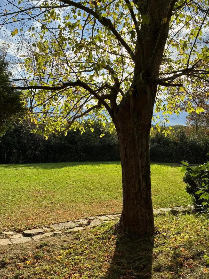 Jardín de Casa o chalet para compartir en Hondarribia con Calefacción, Jardín privado y Parquet