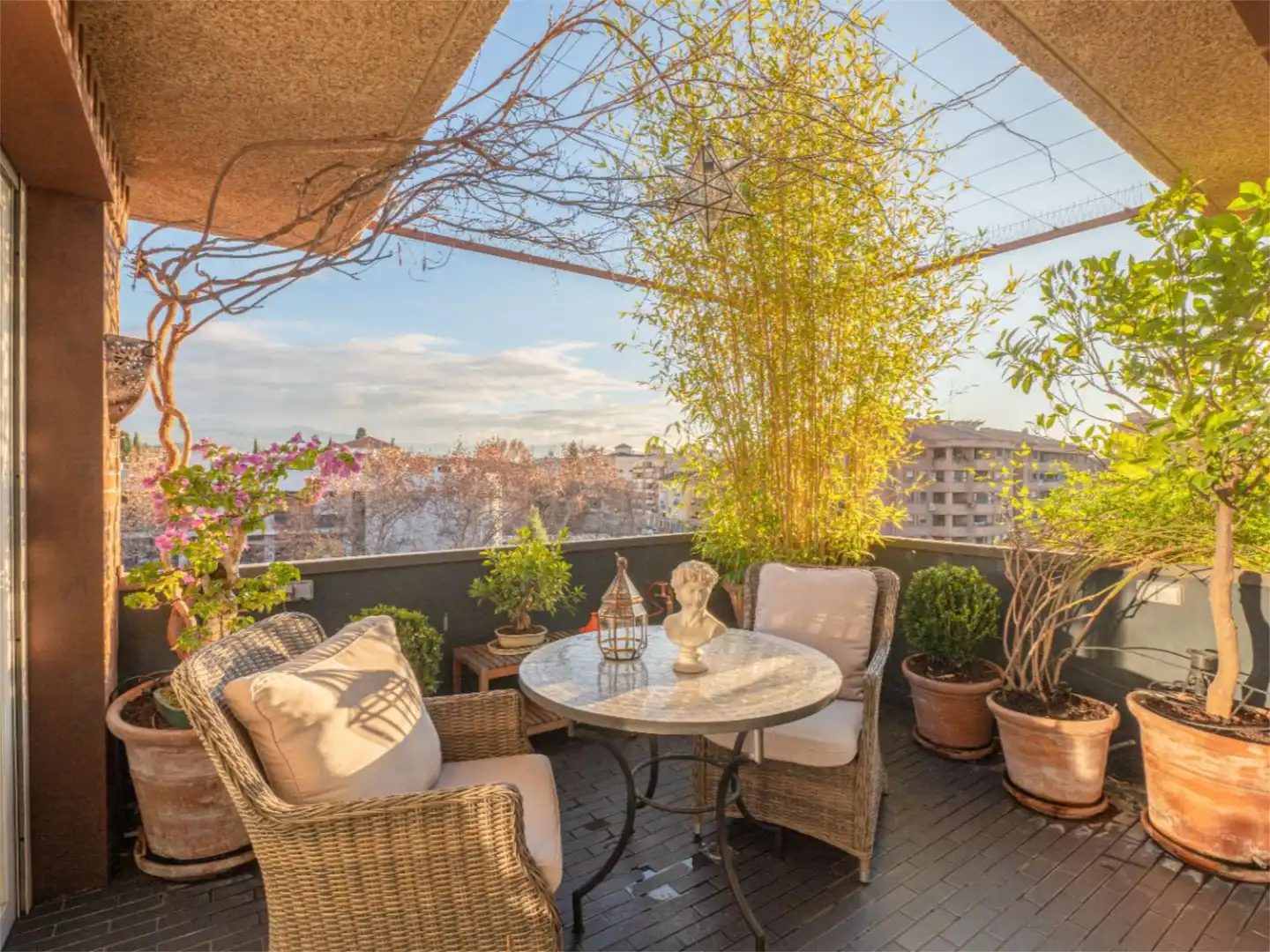 Terrace of Flat for rent in Granada