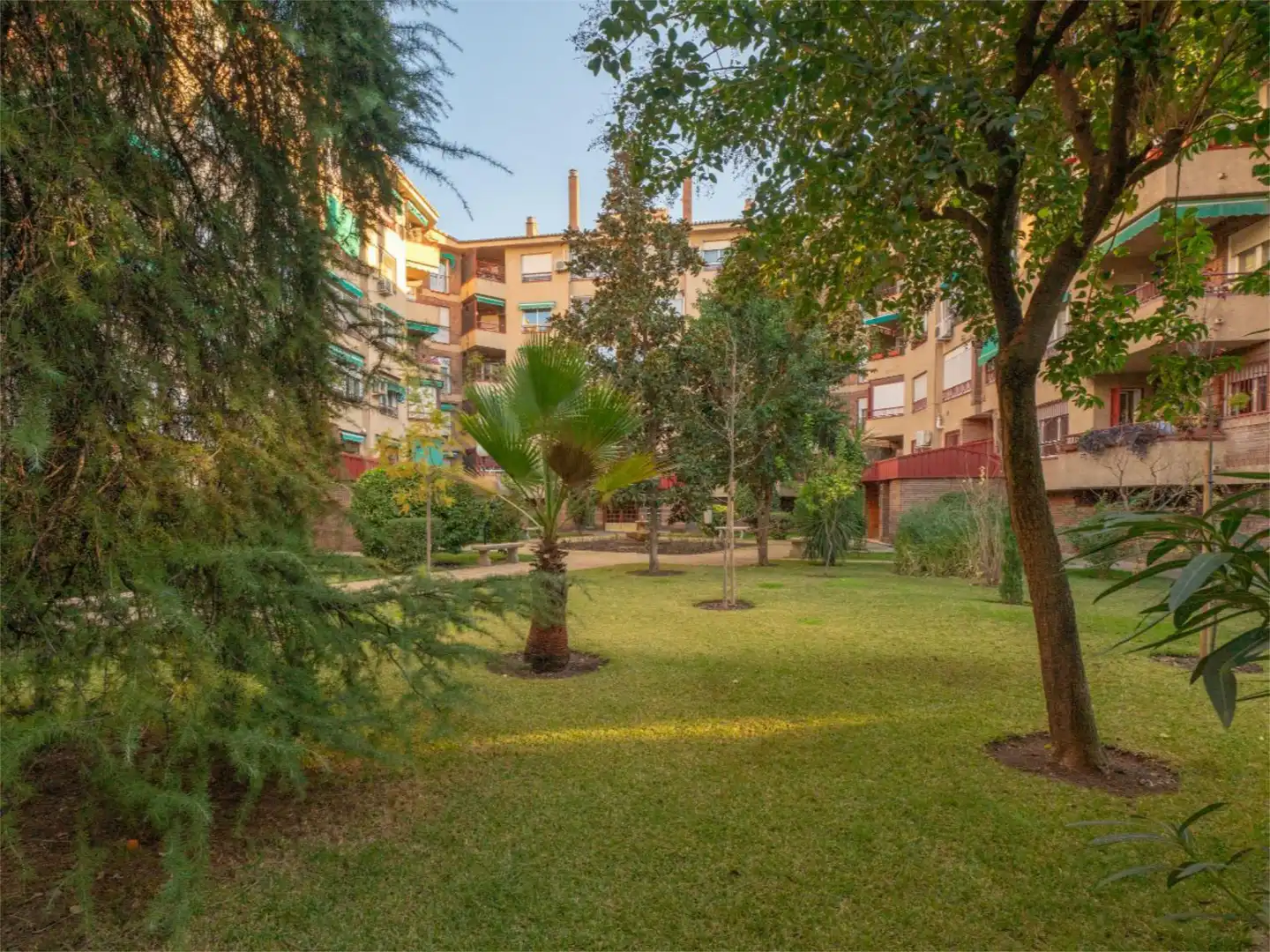 Garden of Flat for rent in Granada