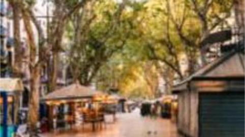 Foto 5 de Apartament en venda a El Raval, Barcelona