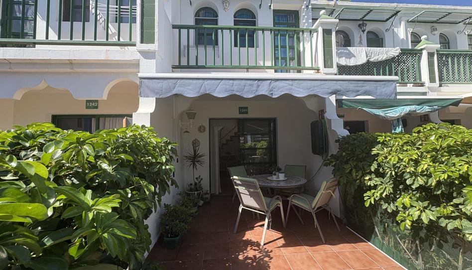 Flat to rent in Avenida Touroperador Neckermann, 3, Maspalomas - Meloneras, Las Palmas - image 1 Photo 1 of Flat to rent in Avenida Touroperador Neckermann, 3, Maspalomas - Meloneras, Las Palmas