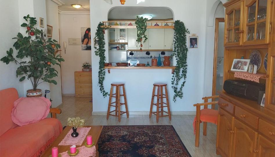 Apartment for sale in Calle Morera, 1, Cañada del Molino, Alicante - image 1 Photo 1 of Apartment for sale in Calle Morera, 1, Cañada del Molino, Alicante