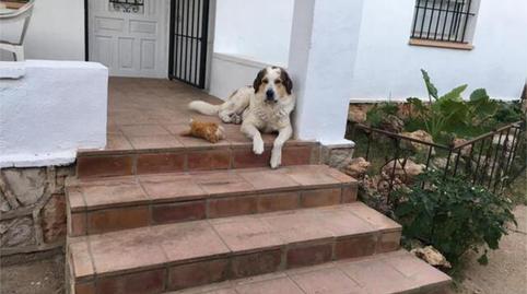 Photo 4 of Single-family semi-detached to share in El Alborgí, Valencia