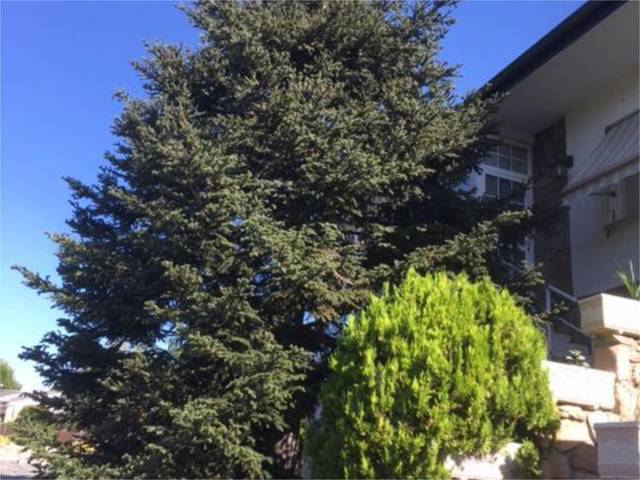 Casa-chalet en Venta en La Canaleja