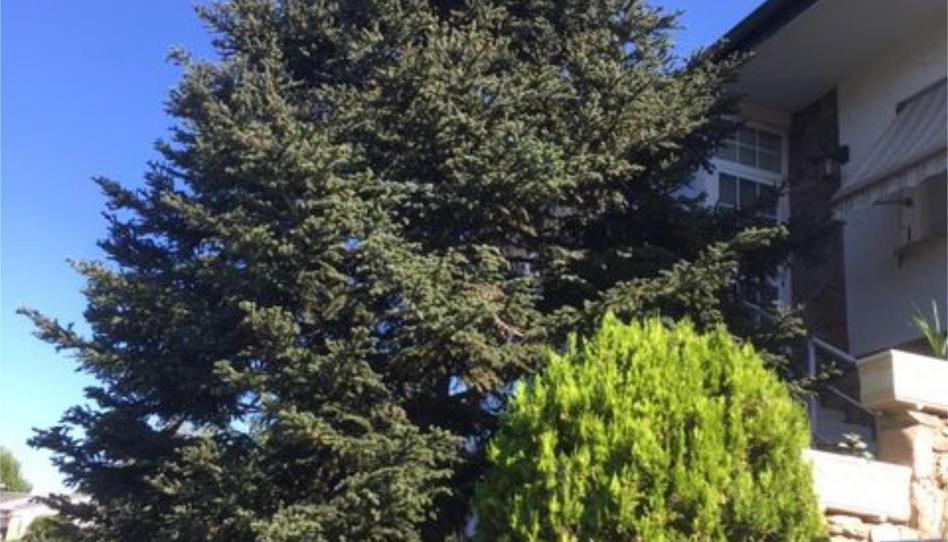 Casa o xalet en venda a La Canaleja, Madrid - imatge 1 Foto 1 de Casa o xalet en venda a La Canaleja, Madrid