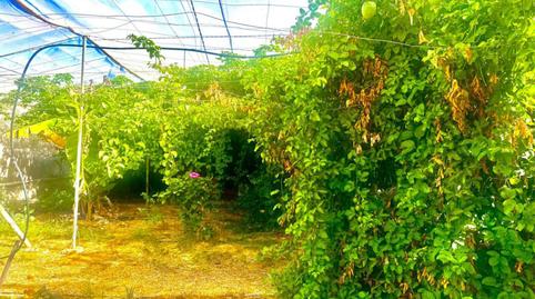 Foto 2 de Finca rústica en venda a Calle las Veredas, 28, Guía de Isora interior, Santa Cruz de Tenerife