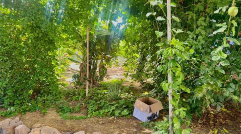 Foto 3 de Finca rústica en venda a Calle las Veredas, 28, Guía de Isora interior, Santa Cruz de Tenerife