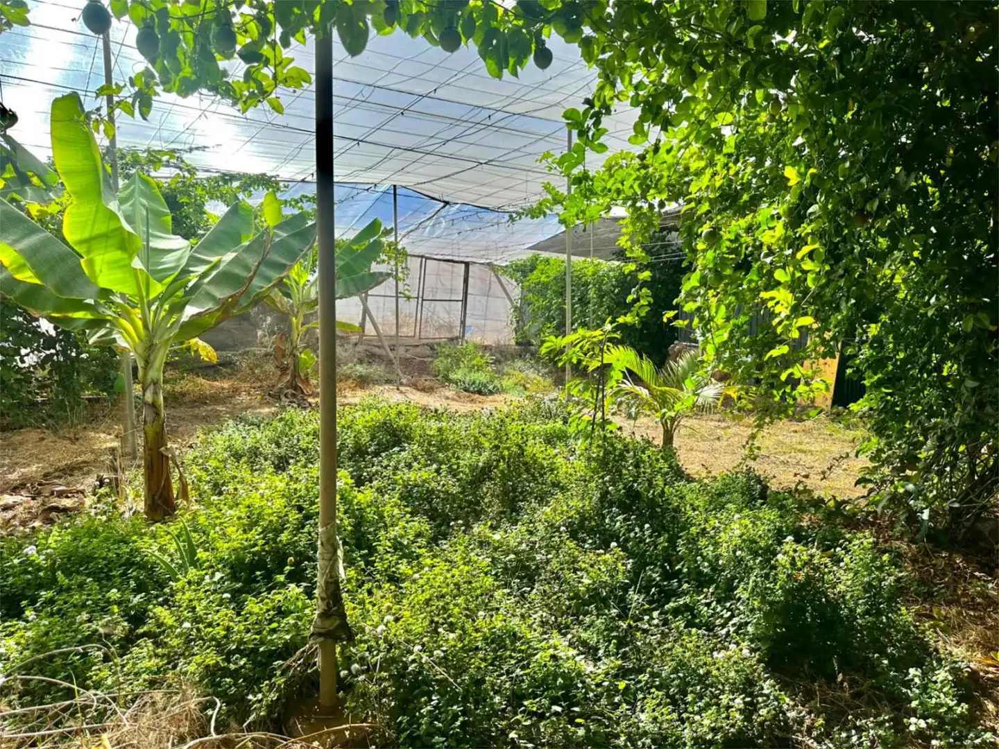 Finca rústica en venda a Calle las Veredas, 28, Guía de Isora interior Finca rústica en venda en Guía de Isora