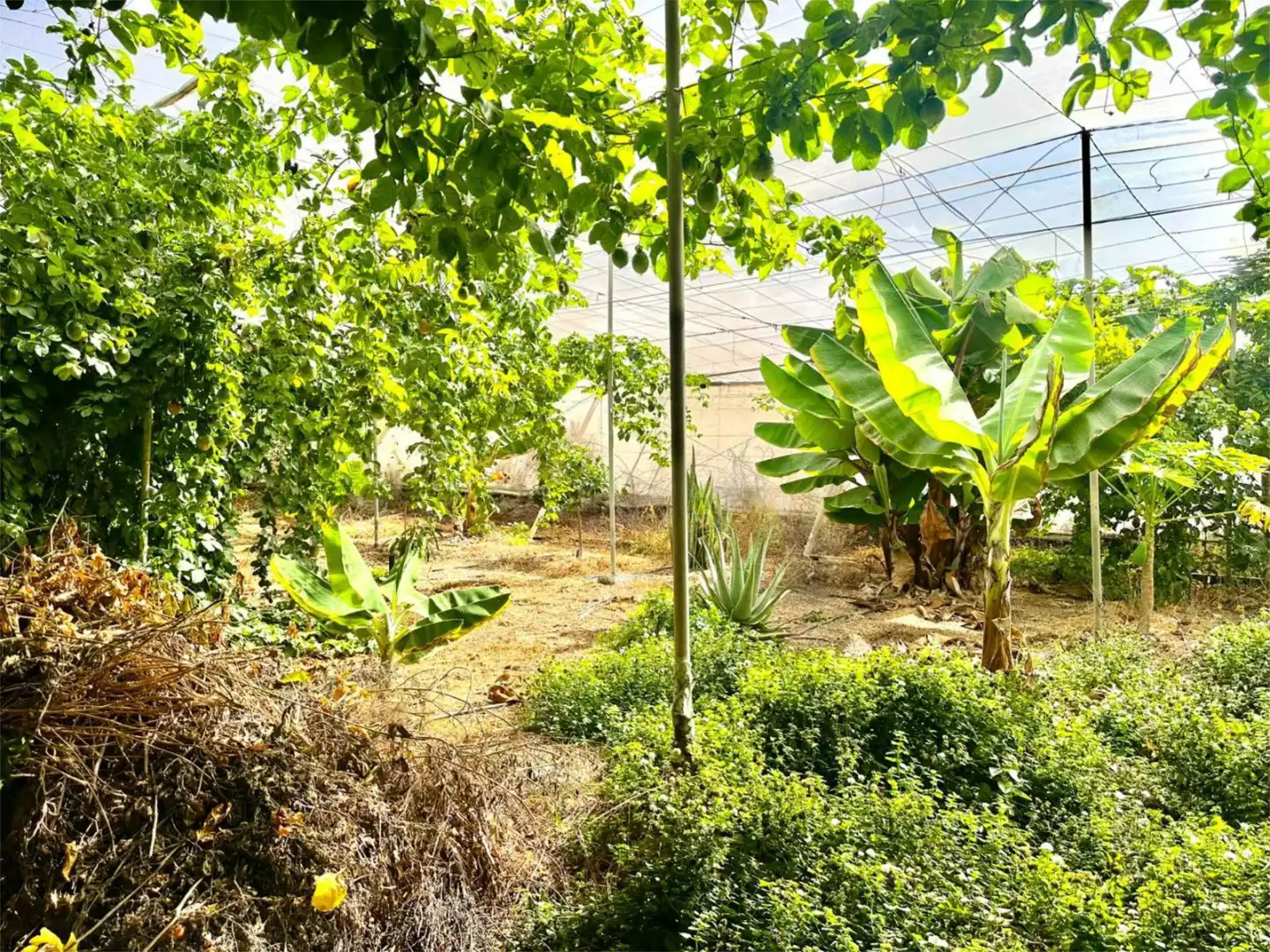 Finca rústica en venda a Calle las Veredas, 28, Guía de Isora interior Finca rústica en venda en Guía de Isora