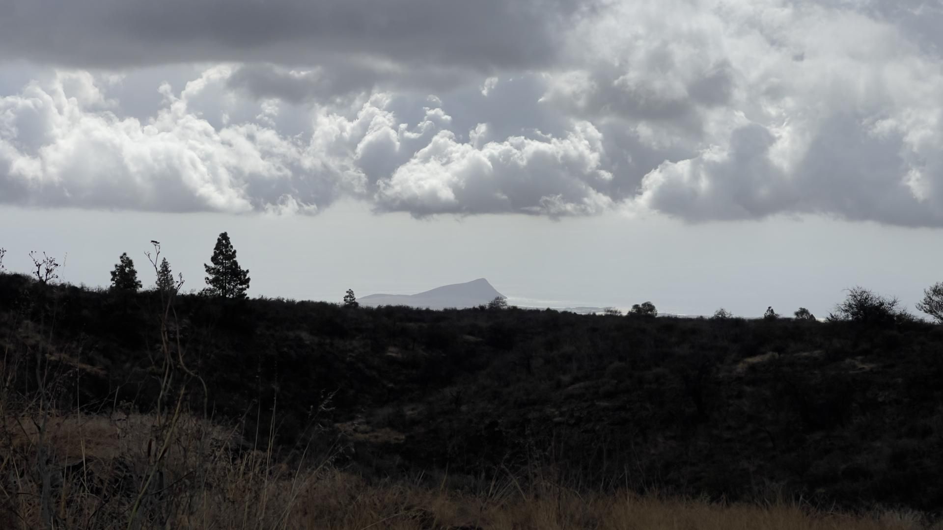 Vista exterior de Finca rústica en venta en Vilaflor de Chasna