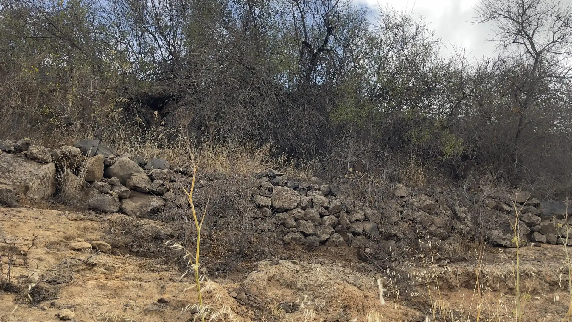 Country homes for sale in Calle Dolores, 14, Vilaflor de Chasna
