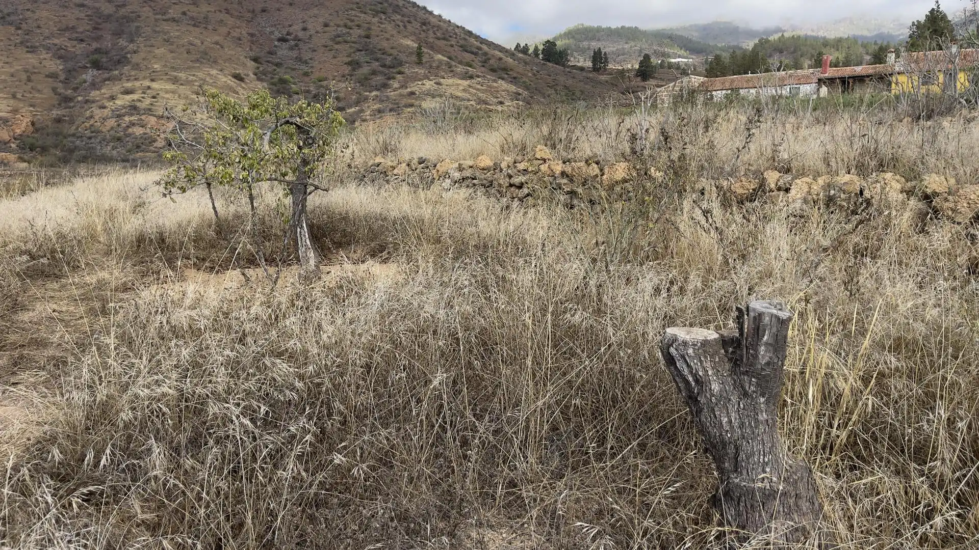 Country homes for sale in Calle Dolores, 14, Vilaflor de Chasna